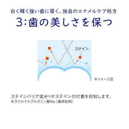 キシリデントライオンこども６０ｇ 容量60G ライオン 歯磨き - MONOW 公式ショップ