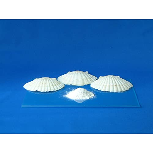 洗濯槽快　３０Ｇ 容量30G オブジィー 衣料用洗剤・自然派