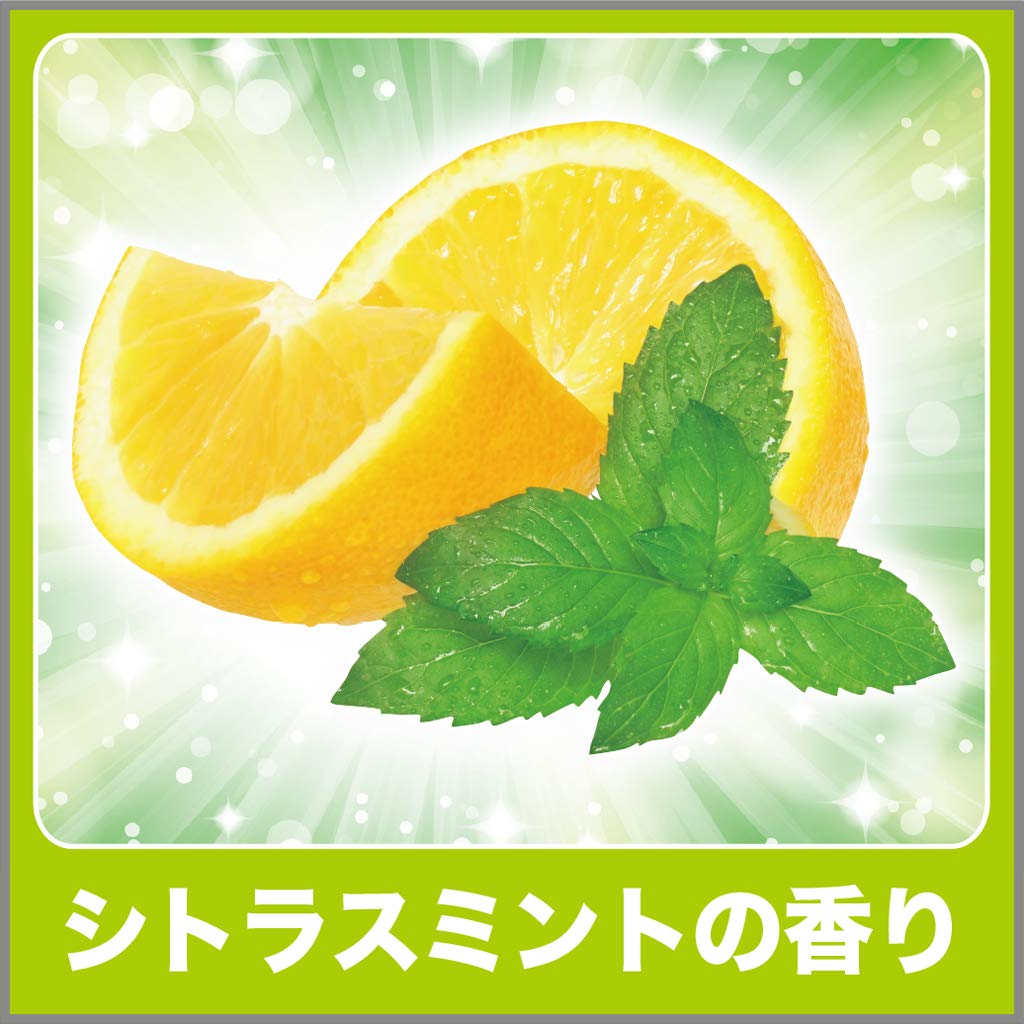 エステー　ゴミ箱の消臭力　シトラスミントの香り　容量2個