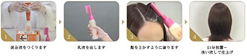 シエロ　ヘアカラー　EX　ミルキー　3S　スタイリッシュブラウン 容量125ML ホーユー ヘアカラー・白髪用 - MONOW 公式ショップ