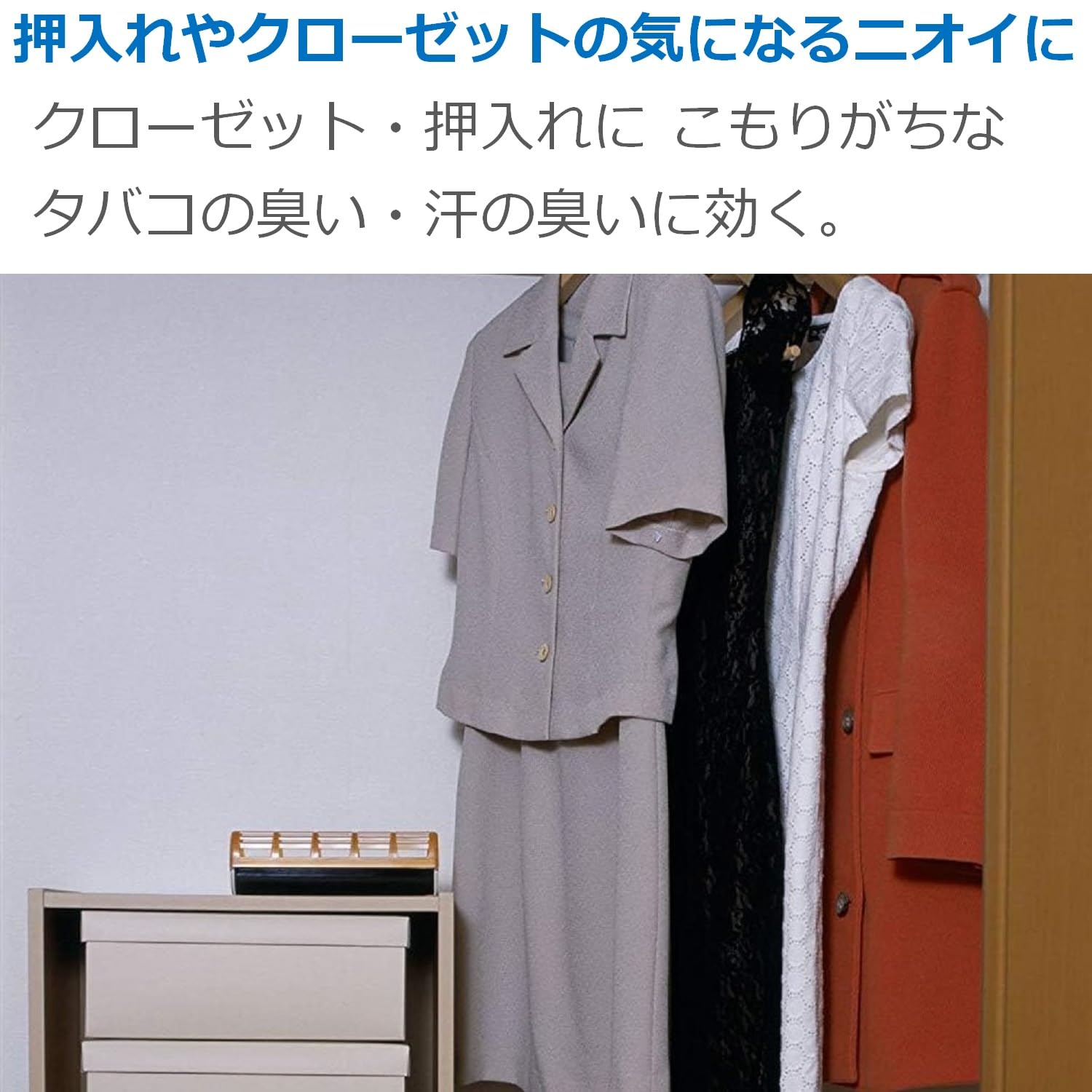 脱臭炭　クローゼット・押入れ用 容量300G エステー 芳香剤