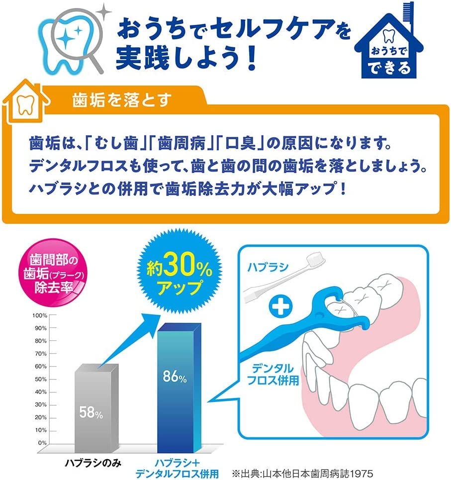 クリニカアドバンテージフロスＹ字タイプ１８本 容量18本 ライオン フロス・歯間ブラシ