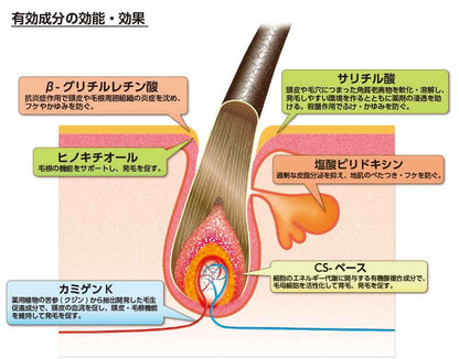 ヘアアクセルレーターＦ　フローラルの香り 容量150ML 加美乃素本舗 美容液