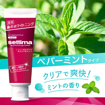 セッチマはみがきスペシャル　［スタンディングタイプ］ 容量80G サンスター 歯磨き