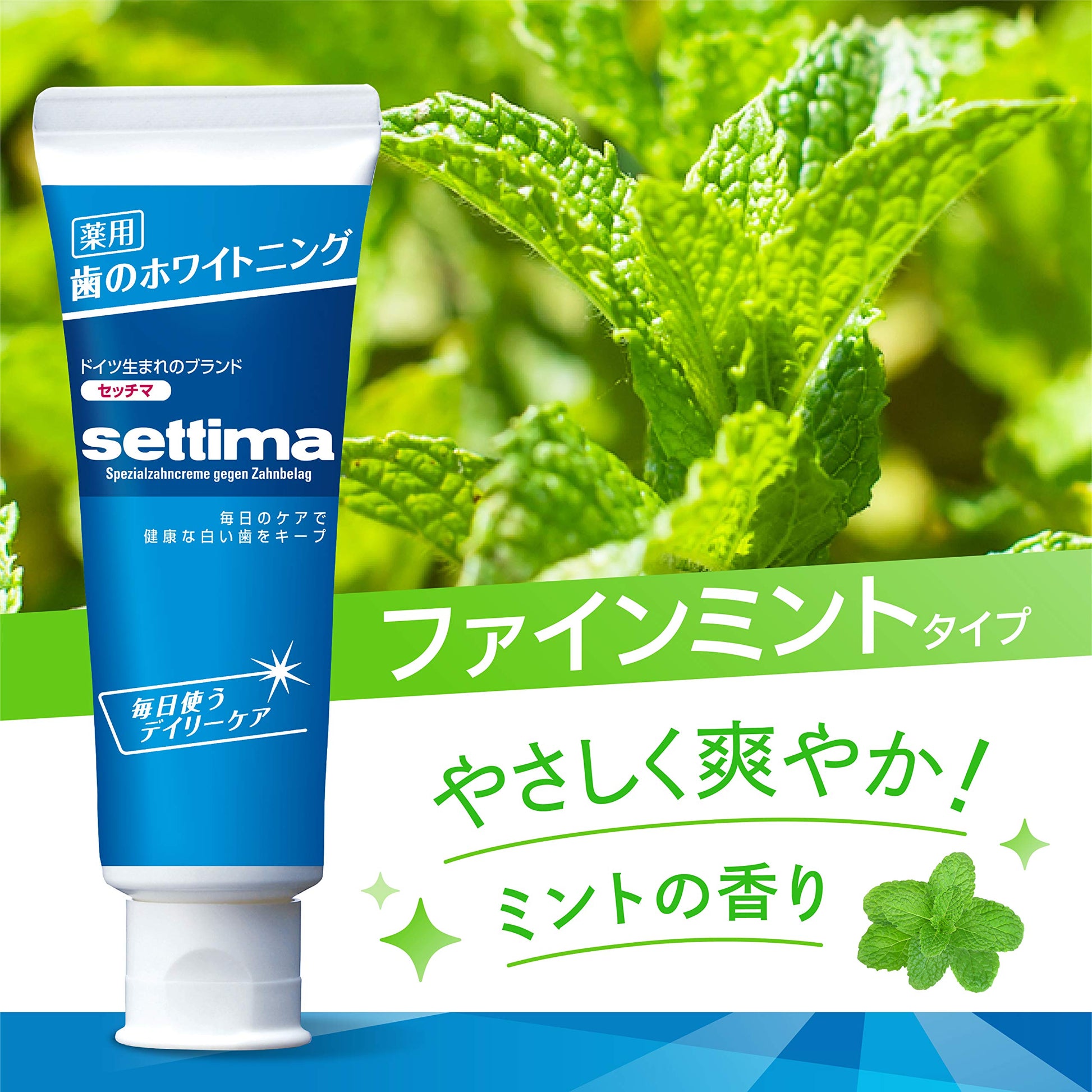 セッチマはみがきデイリータイプ　［スタンディングタイプ］ 容量80G サンスター 歯磨き