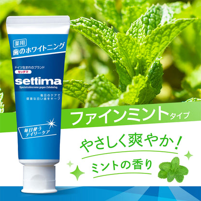 セッチマはみがきデイリータイプ　［スタンディングタイプ］ 容量80G サンスター 歯磨き