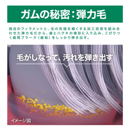 ＧＵＭブラシ＃２１１　スモールヘッドハード 容量 サンスター 歯ブラシ