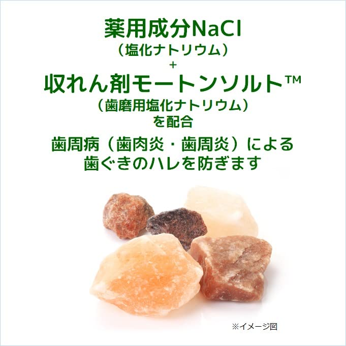 ＧＵＭデンタルペーストソルティミント１５０Ｇ 容量150G サンスター 歯磨き