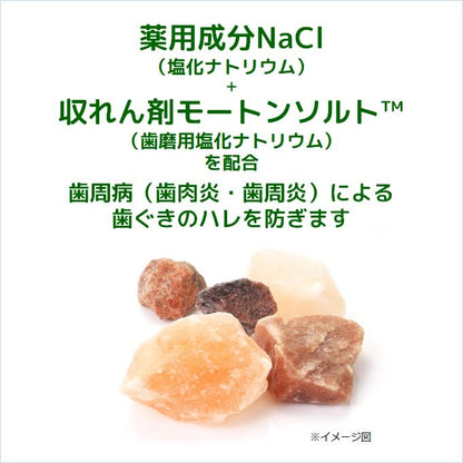 ＧＵＭデンタルペーストソルティミント１５０Ｇ 容量150G サンスター 歯磨き