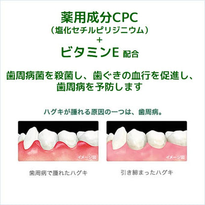 ＧＵＭデンタルペーストソルティミント１５０Ｇ 容量150G サンスター 歯磨き