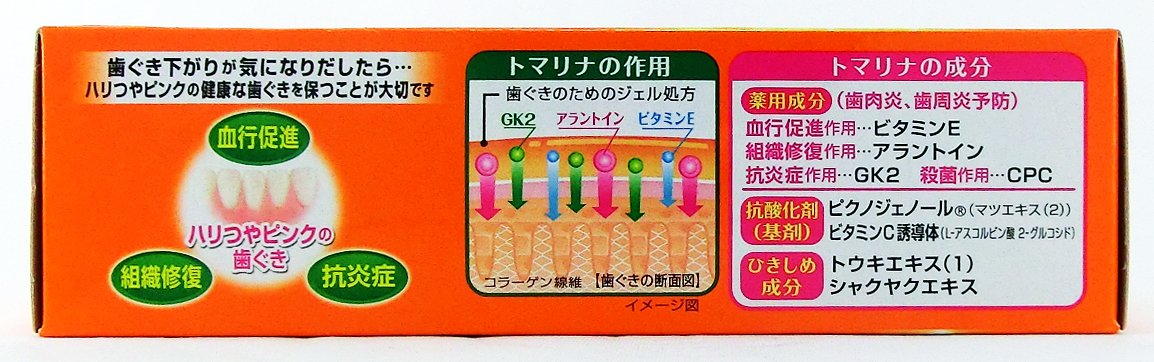 トマリナ 容量90G 小林製薬 歯磨き