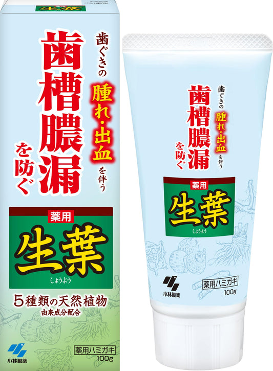 生葉b 容量100G 小林製薬 歯磨き