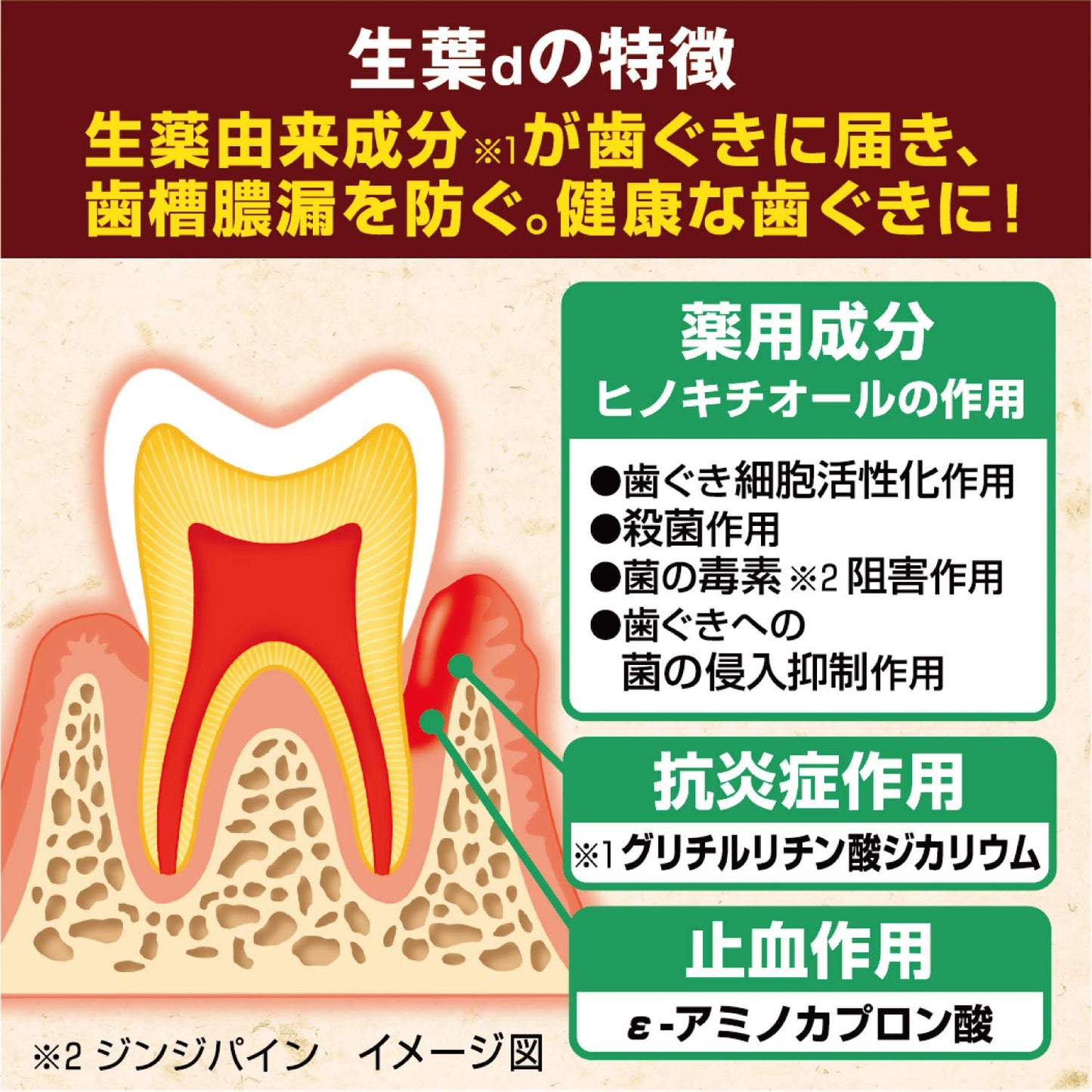 生葉b 容量100G 小林製薬 歯磨き