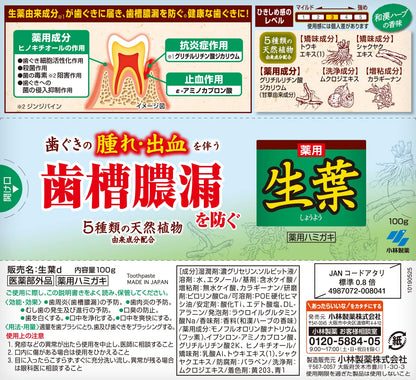 生葉b 容量100G 小林製薬 歯磨き