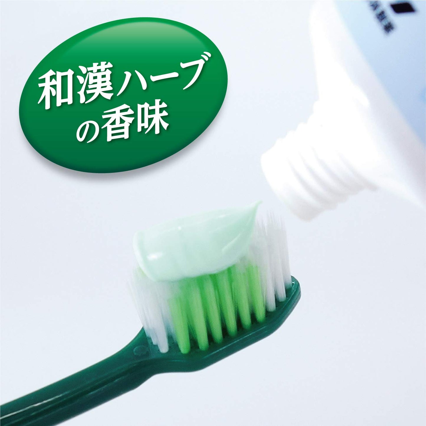 生葉b 容量100G 小林製薬 歯磨き
