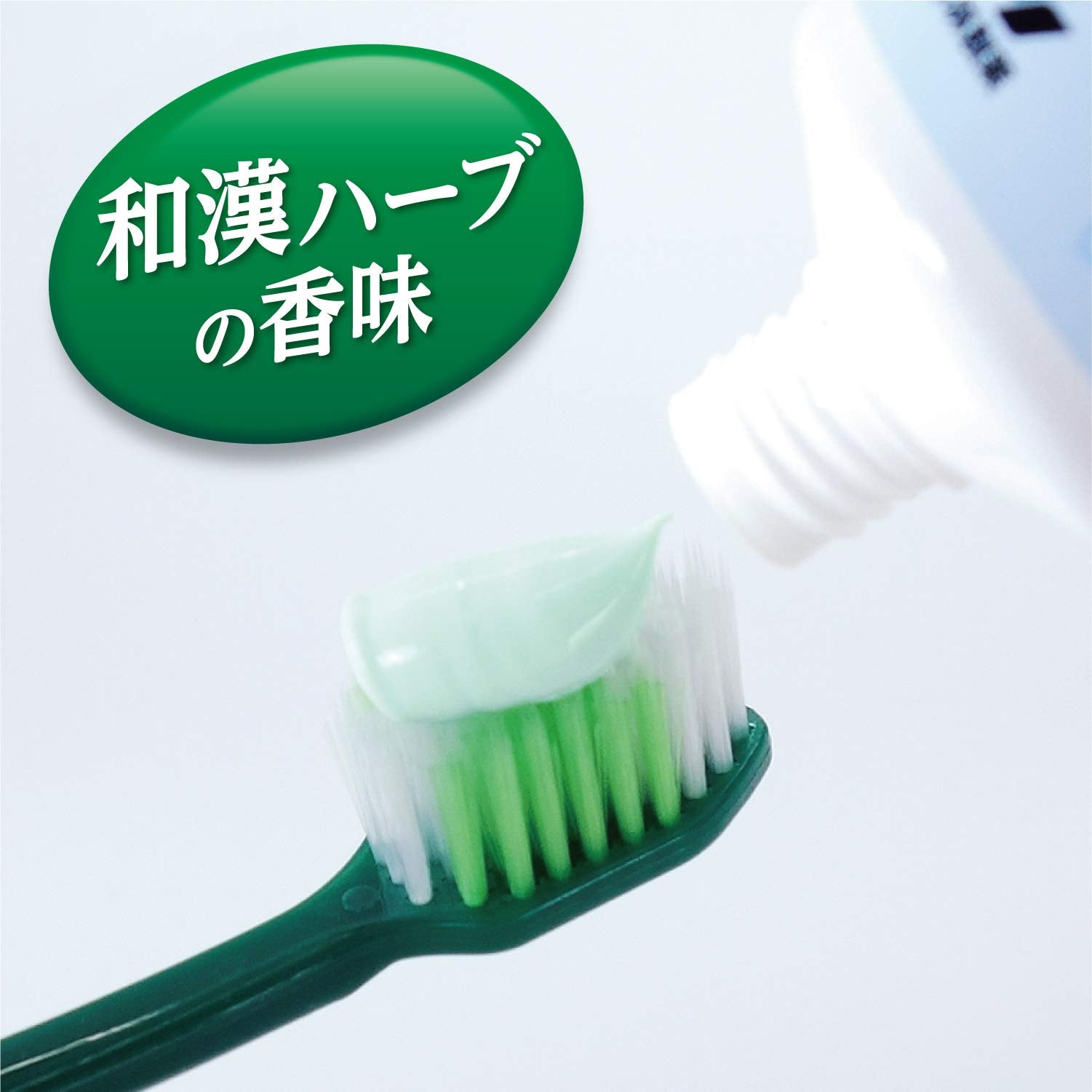 生葉b 容量100G 小林製薬 歯磨き
