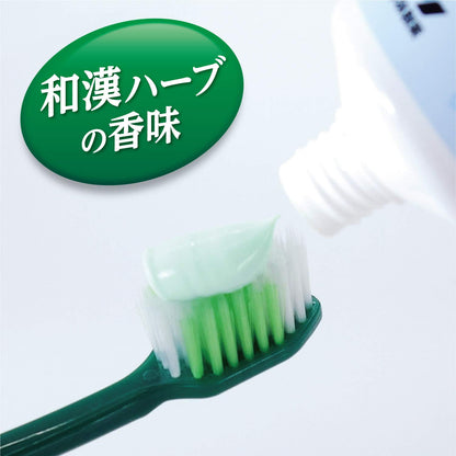 生葉b 容量100G 小林製薬 歯磨き
