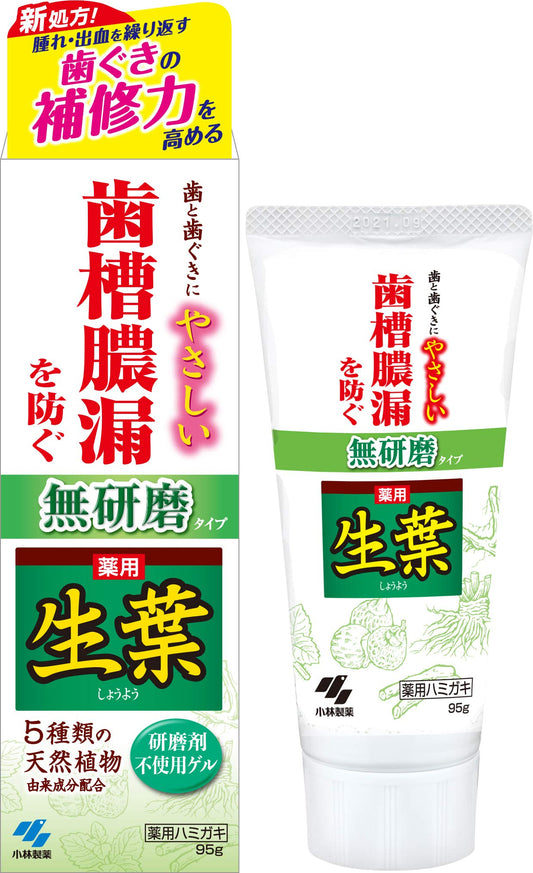生葉m　無研磨タイプ 容量95G 小林製薬 歯磨き