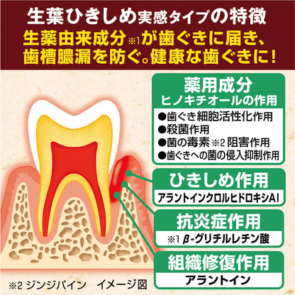 ひきしめ生葉ha 容量100G 小林製薬 歯磨き