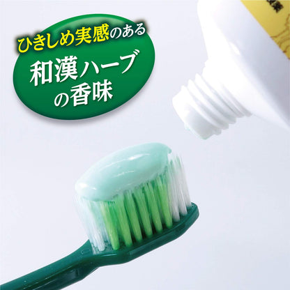 ひきしめ生葉ha 容量100G 小林製薬 歯磨き
