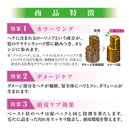 ＴＦＨ－１２Ｎテンスターフアインヘナ６ＰＤＥＢ 容量240G 三宝商事 ヘアカラー・白髪用
