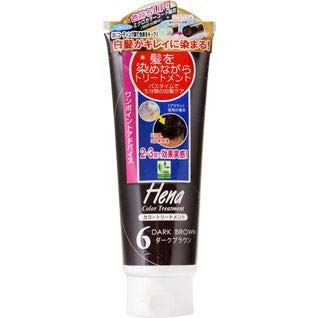 ＴＳへナカラートリートメントＤブラウン２５０ＭＬ 容量250ML 三宝商事 ヘアトリートメント