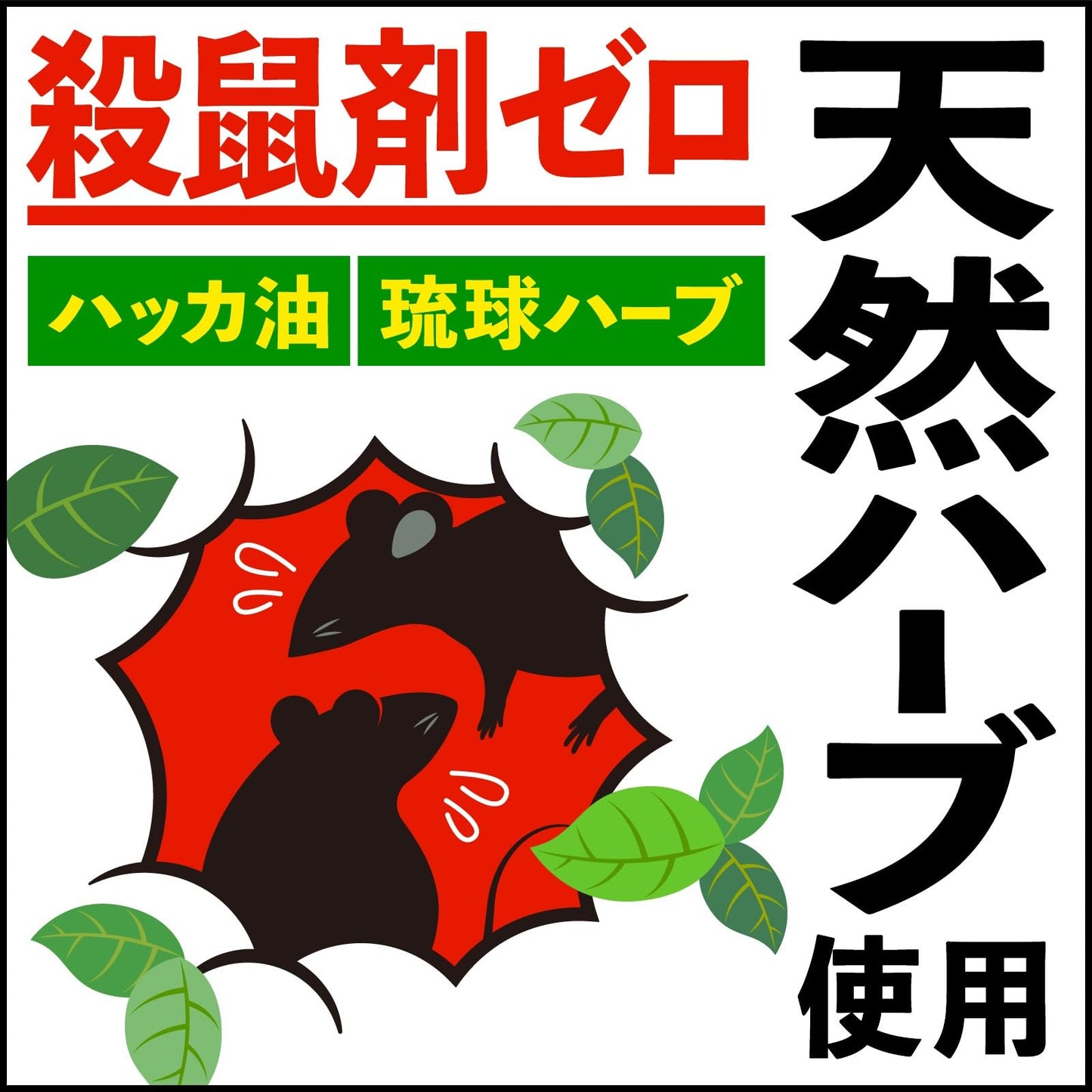 ネズミ一発退場　（くん煙タイプ） 容量10G アース製薬 殺虫剤・ネズミ