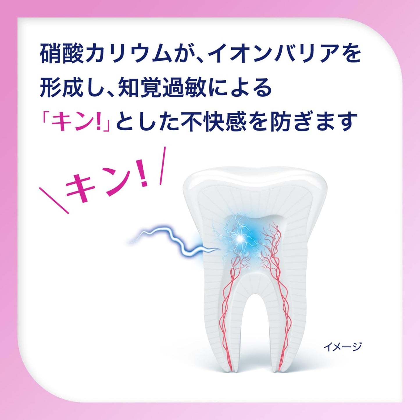 薬用シュミテクト　歯周病ケア　９０ｇ 容量90G グラクソスミスクライン 歯磨き