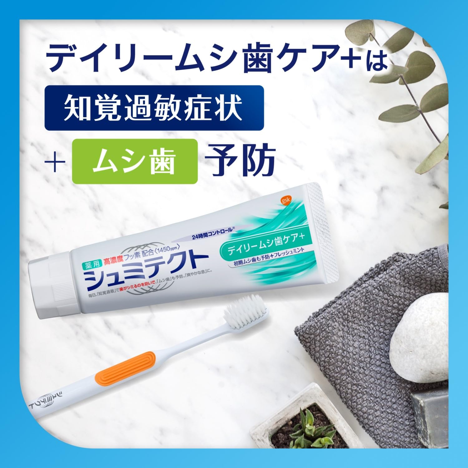 薬用シュミテクト　デイリームシ歯ケア＋　９０ｇ 容量90G グラクソスミスクライン 歯磨き