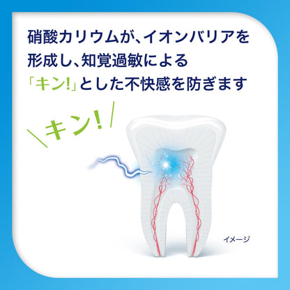 薬用シュミテクト　デイリームシ歯ケア＋　９０ｇ 容量90G グラクソスミスクライン 歯磨き