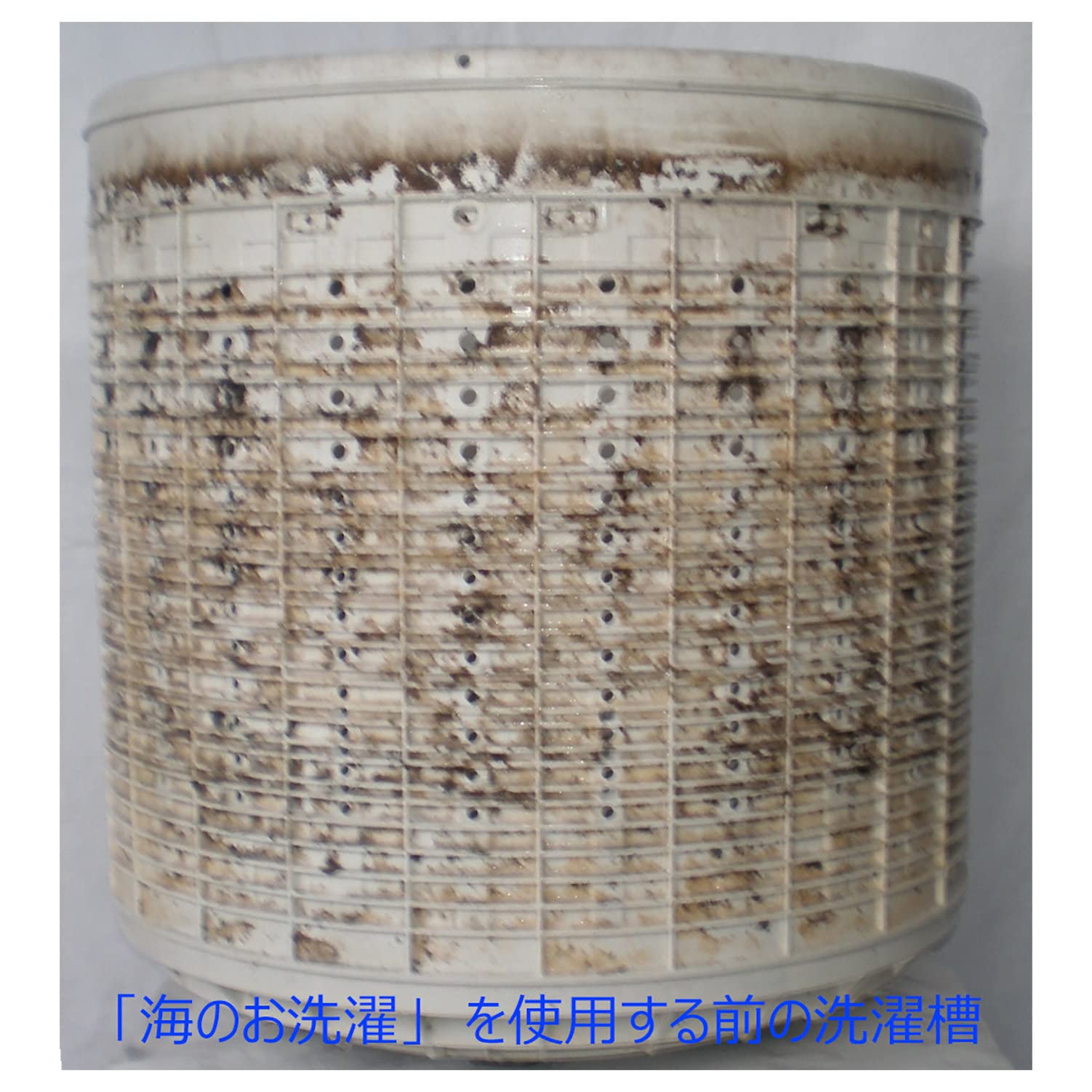 ホタテの力くん「海のお洗濯　洗濯物の除菌・消臭」 容量90G 日本漢方研究所 衣料用洗剤・自然派