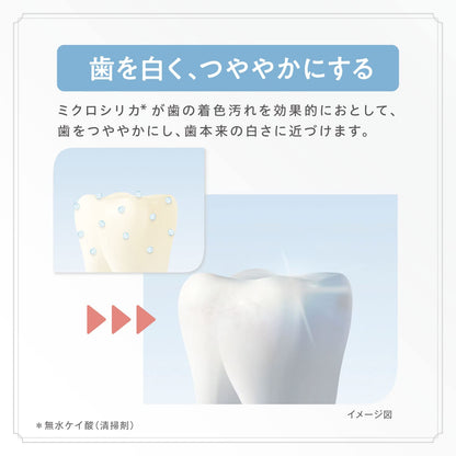 薬用ＡＰホワイトペーストリフレッシュミント１１０ｇ 容量110G サンスター 歯磨き