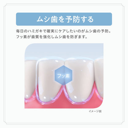 薬用ＡＰホワイトペーストリフレッシュミント１１０ｇ 容量110G サンスター 歯磨き