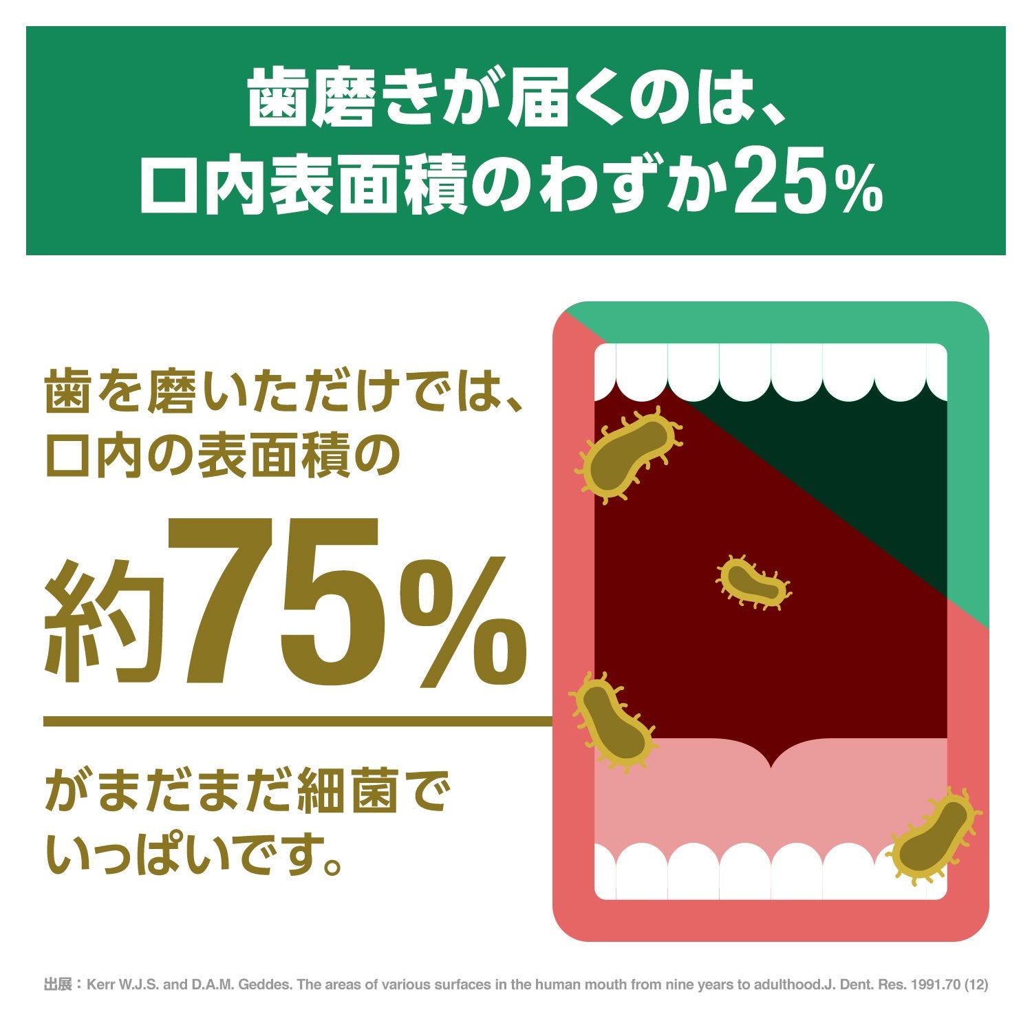 リステリン　フレッシュミント 容量1L ジョンソン＆ジョンソン マウスウォッシュ