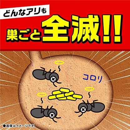 スーパー　アリの巣コロリ 容量2個 アース製薬 殺虫剤・アリ