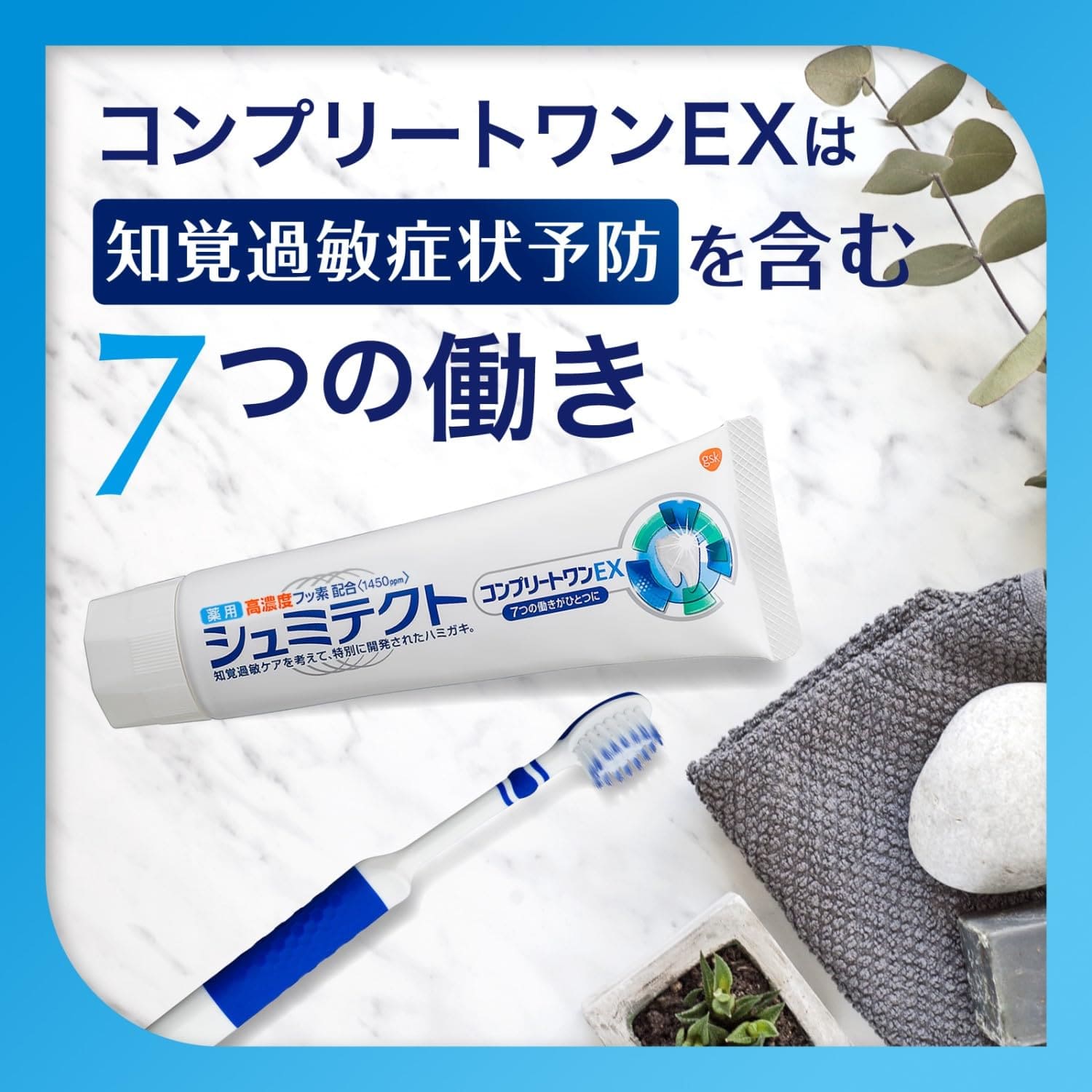 薬用シュミテクト　コンプリートワンＥＸ　９０ｇ 容量90G グラクソスミスクライン 歯磨き