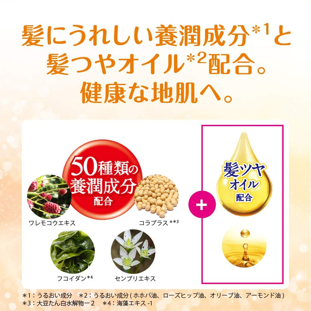 50の恵　髪ふんわりボリューム育毛剤　つめかえ用 容量150ML ロート製薬 育毛剤・養毛剤