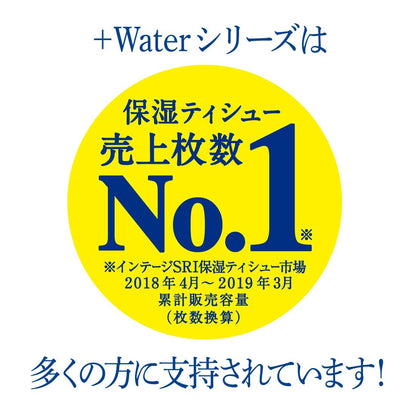 エリエール＋ＷＡＴＥＲポケット１４Ｗ×１４個 容量28枚 大王製紙 ティッシュ
