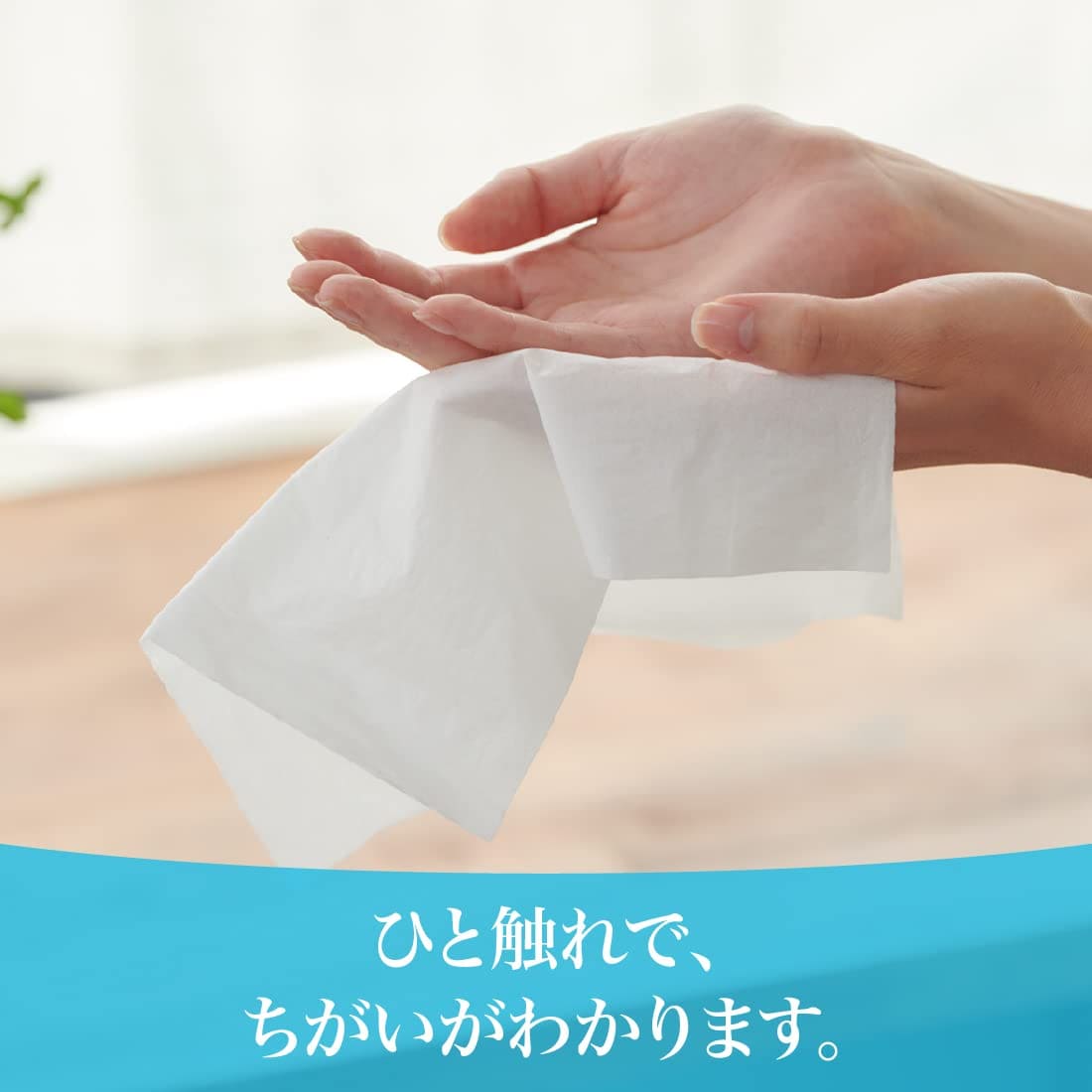 エリエールプラスウォーター１８０Ｗ５Ｐ 容量5P 大王製紙 ティッシュ