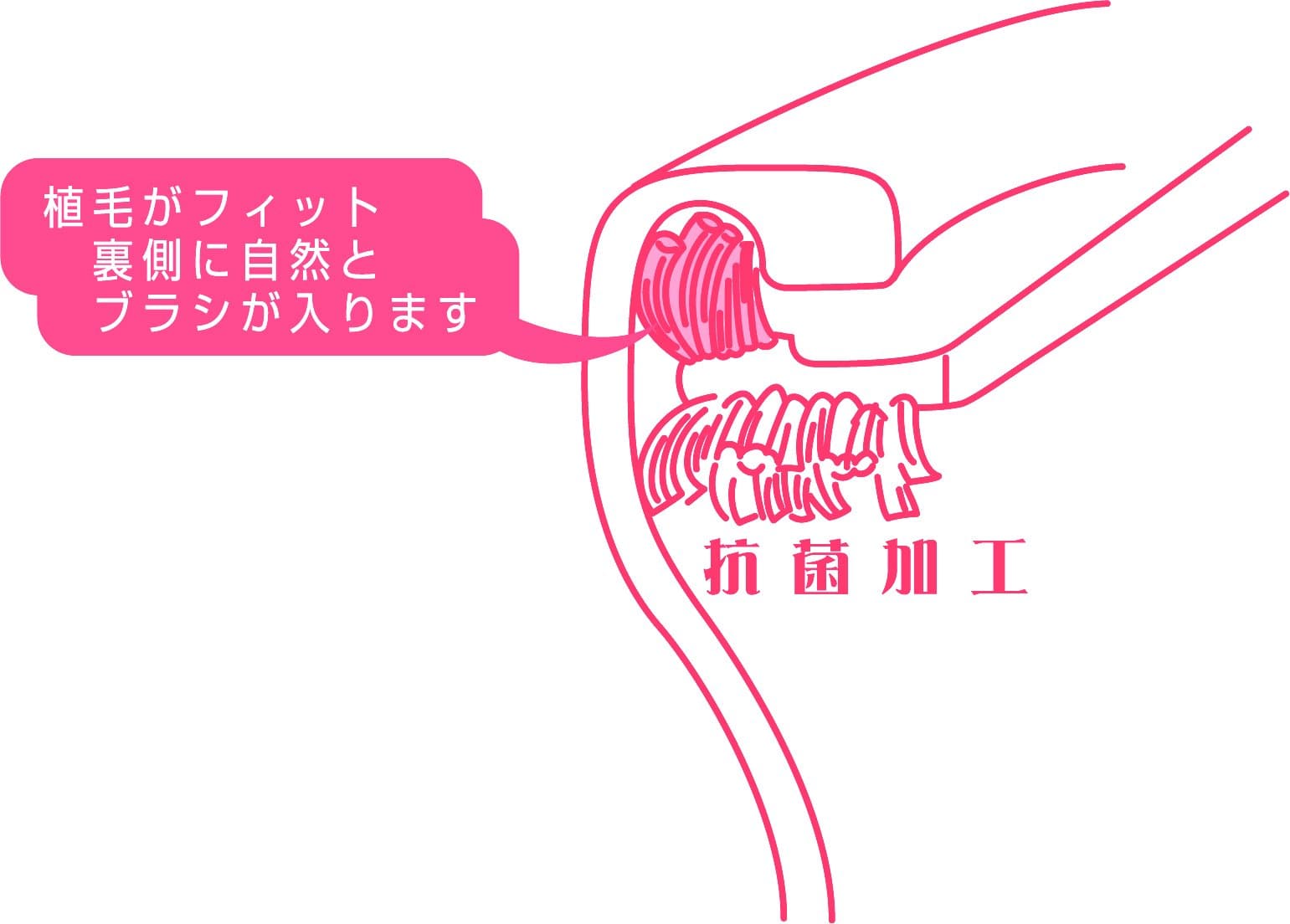ＴＥ－１　エディ　ウラあらいブラシ 容量 キクロン トイレ用品