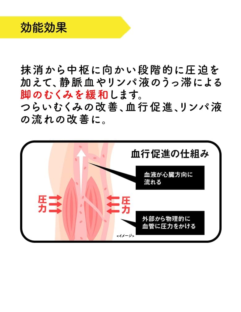おうちでメディキュット　ひざ下ブラックＬ 容量1個 ショールズウェルネスカンパニー ダイエット・矯正