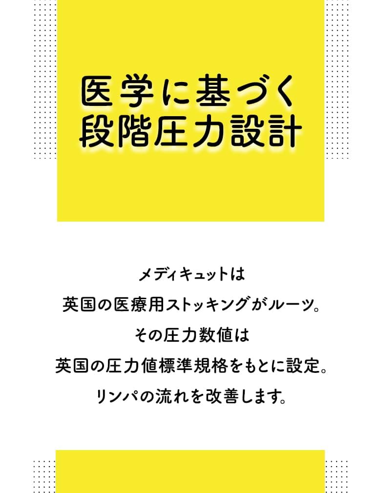 おうちでメディキュット　ひざ下ブラックＬ 容量1個 ショールズウェルネスカンパニー ダイエット・矯正