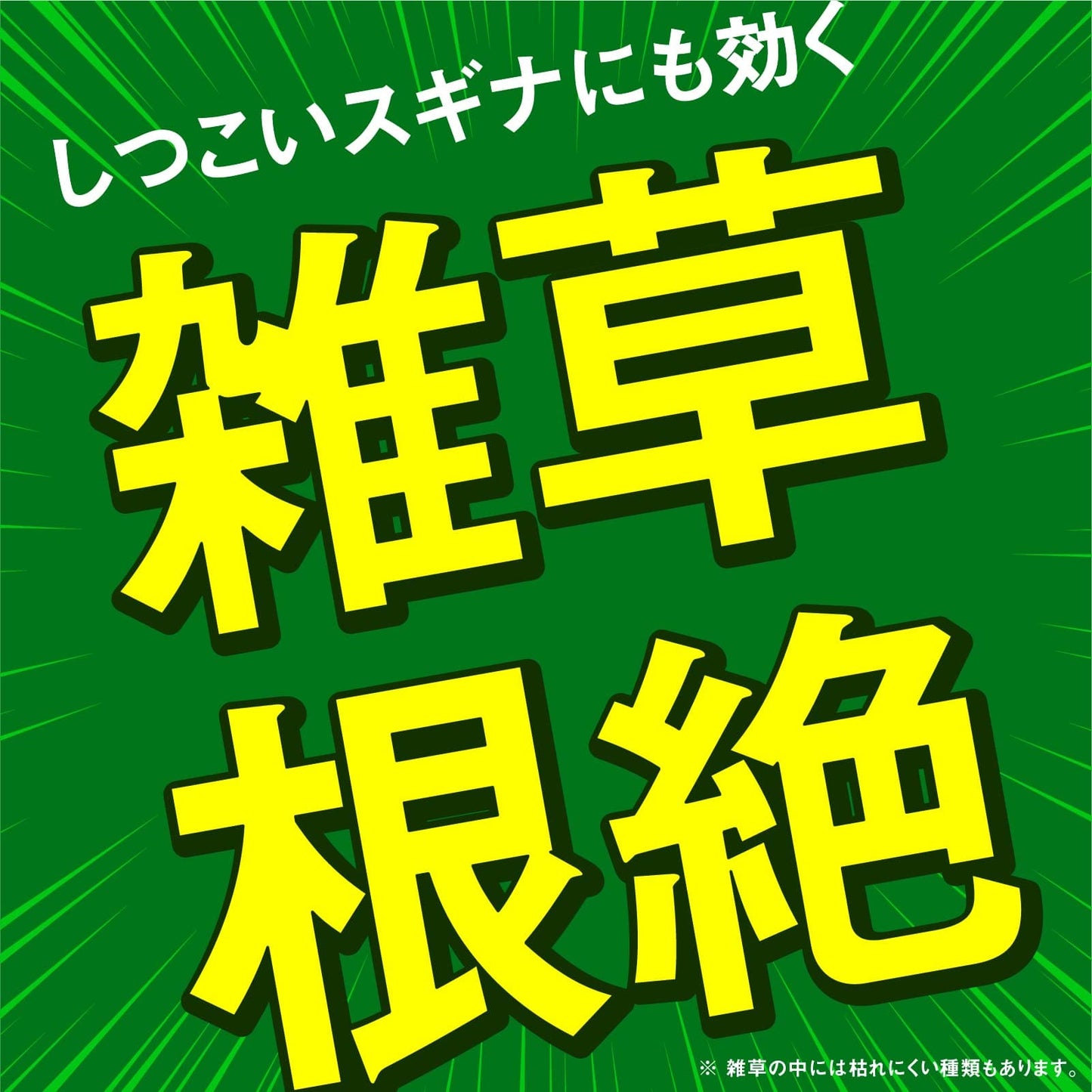 アースカマイラズジョウロヘッド２Ｌ 容量2000ML アース製薬 園芸用品・除草剤