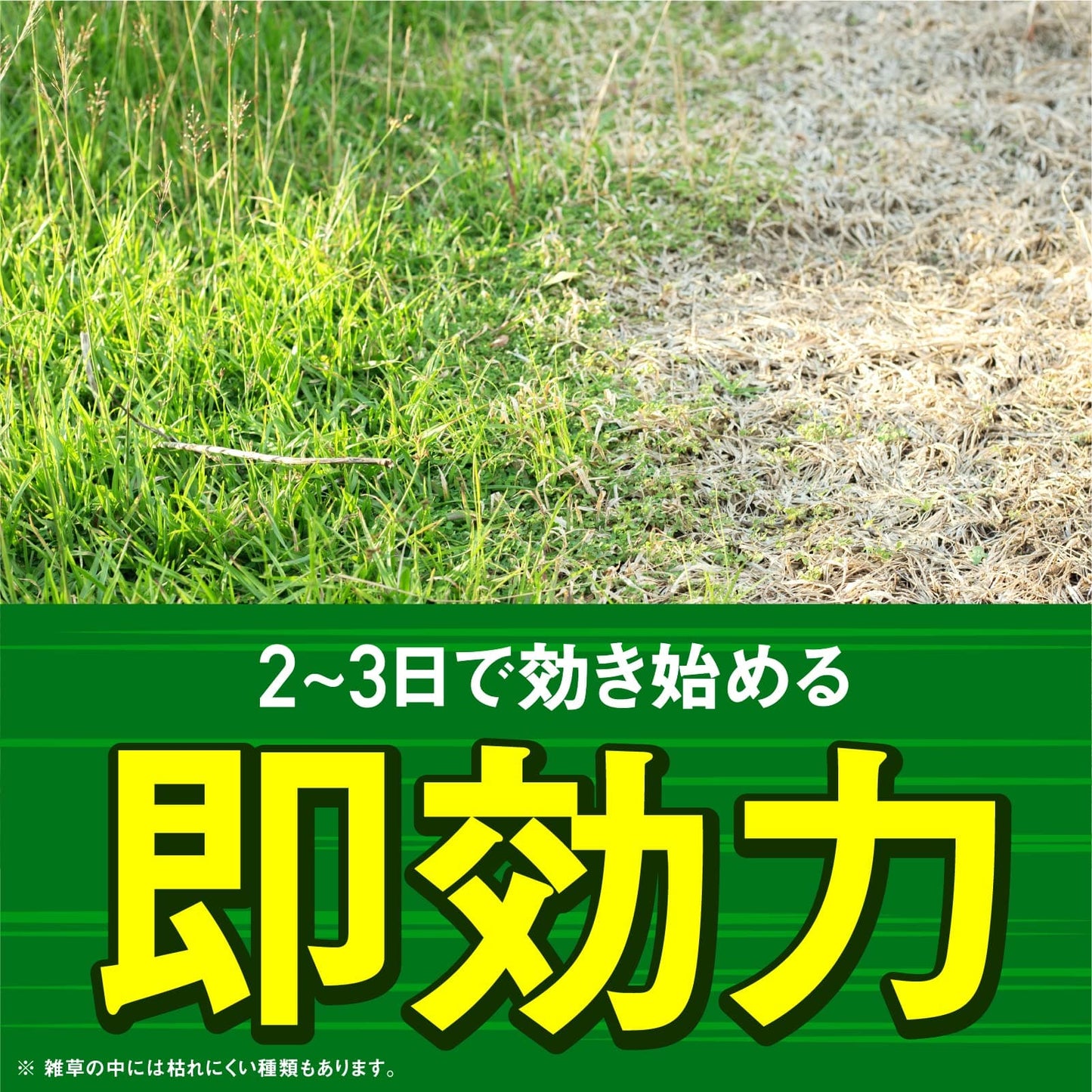 アースカマイラズジョウロヘッド２Ｌ 容量2000ML アース製薬 園芸用品・除草剤