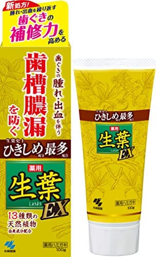 生葉EX 容量100G 小林製薬 歯磨き