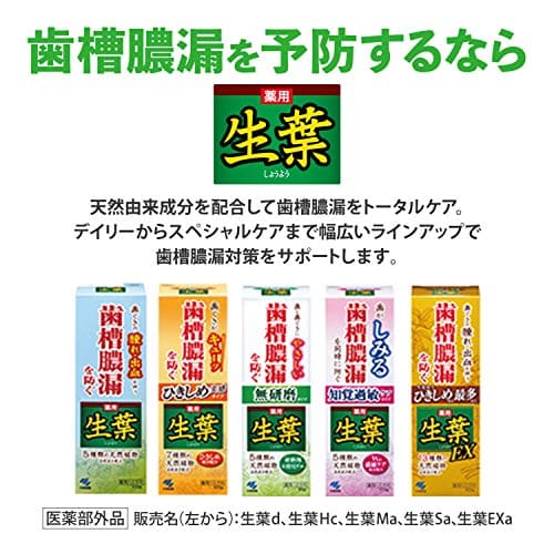 生葉EX 容量100G 小林製薬 歯磨き