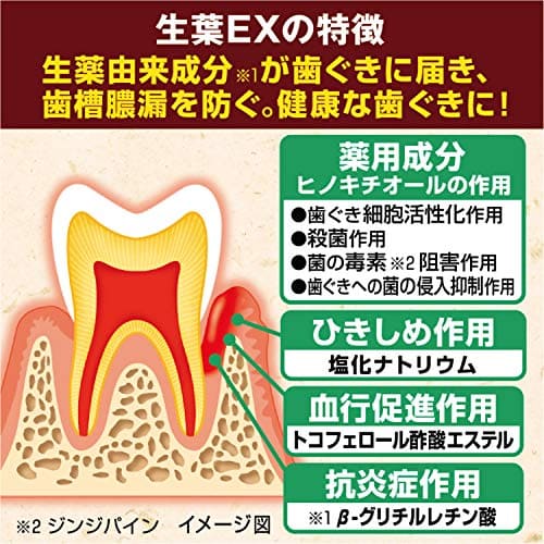 生葉EX 容量100G 小林製薬 歯磨き