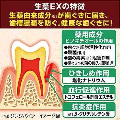 生葉EX 容量100G 小林製薬 歯磨き