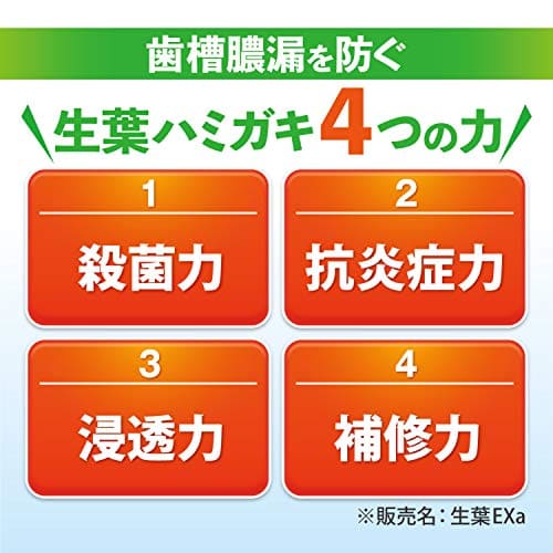 生葉EX 容量100G 小林製薬 歯磨き