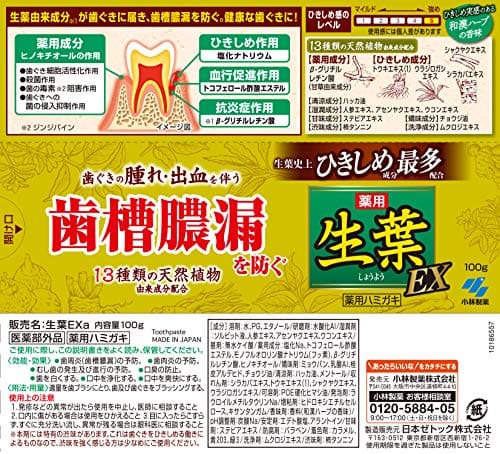 生葉EX 容量100G 小林製薬 歯磨き